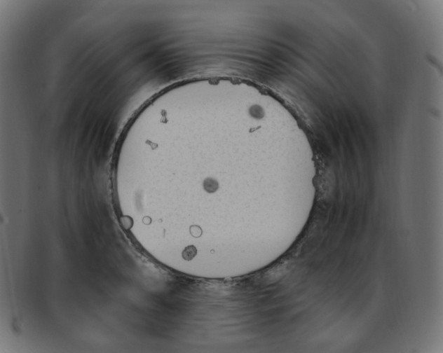 X0000096961086200803071045