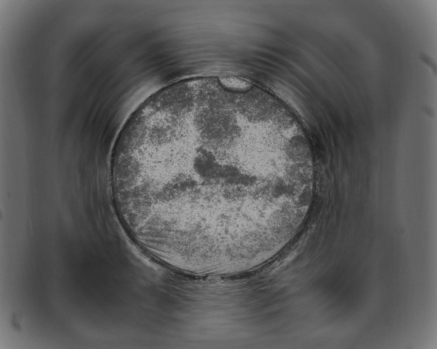 X0000096961087200803071045