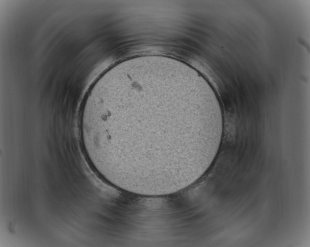 X0000096961090200803071045