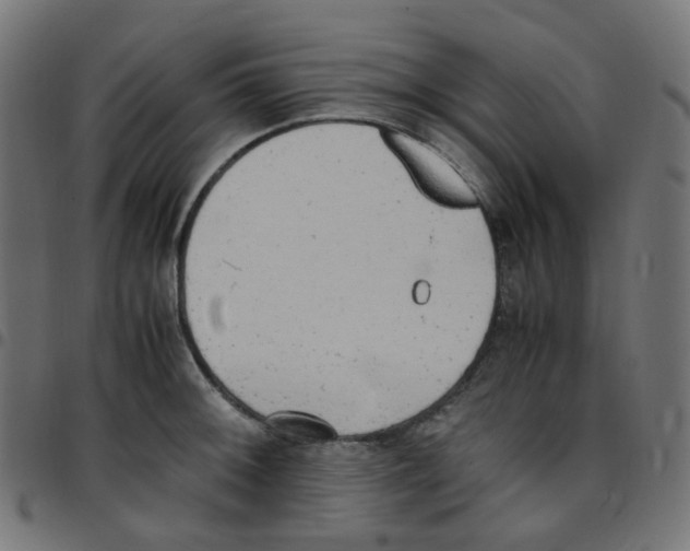 X0000096961092200803071045