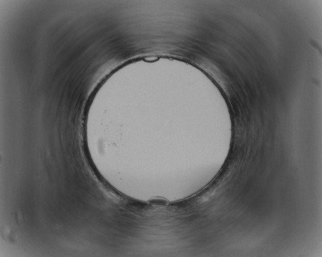 X0000096961093200803071045