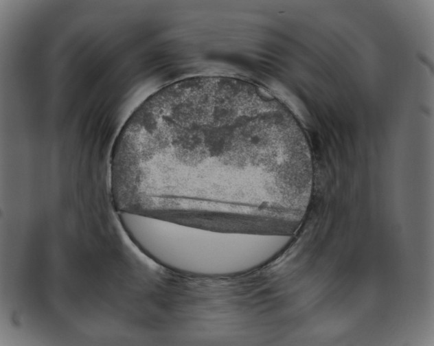 X0000096961095200803071045