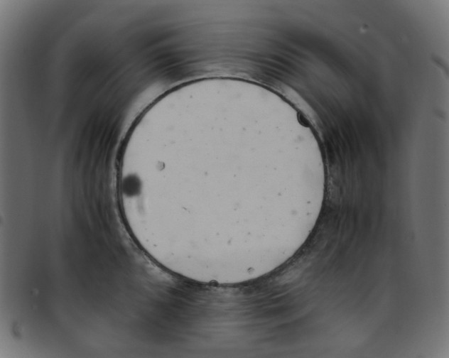 X0000096961096200803071045