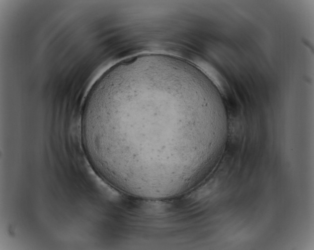 X0000096961100200803071045