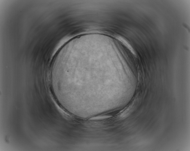 X0000096961101200803071045