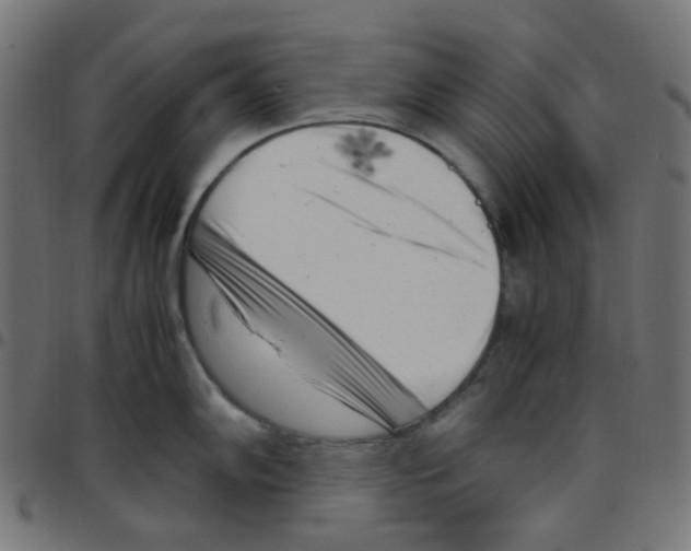 X0000096961102200803071045