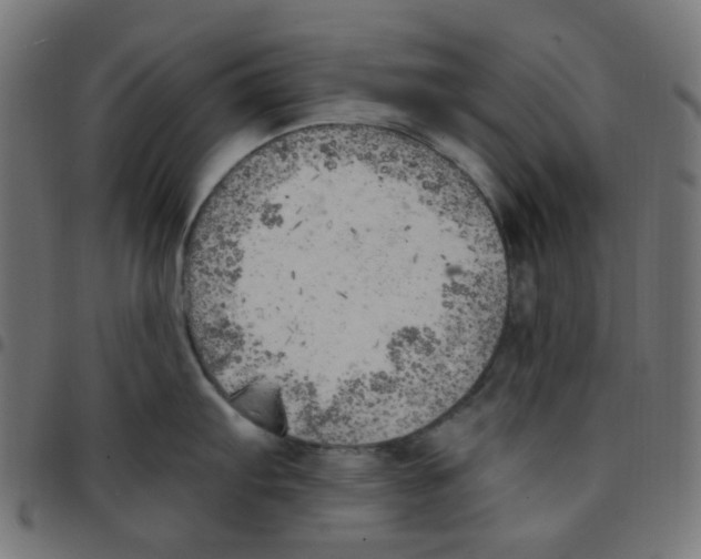 X0000096961103200803071045