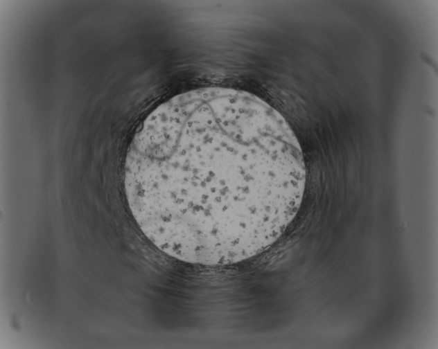 X0000096961105200803071044