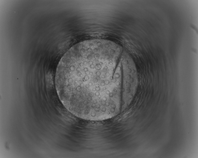 X0000096961106200803071044