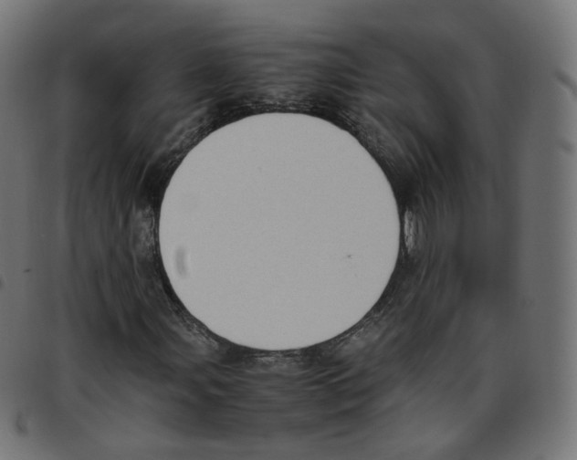 X0000096961107200803071044