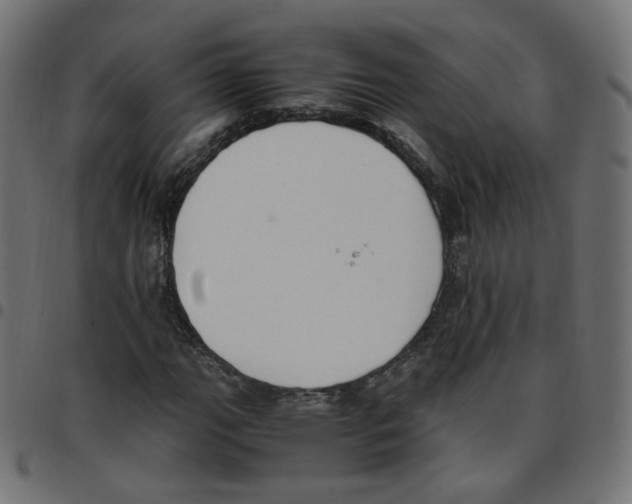 X0000096961111200803071044