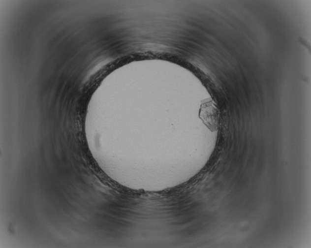 X0000096961112200803071044