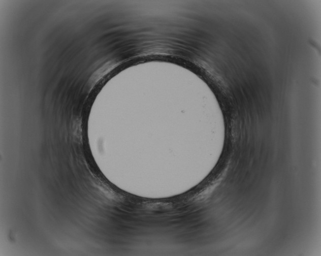 X0000096961113200803071044