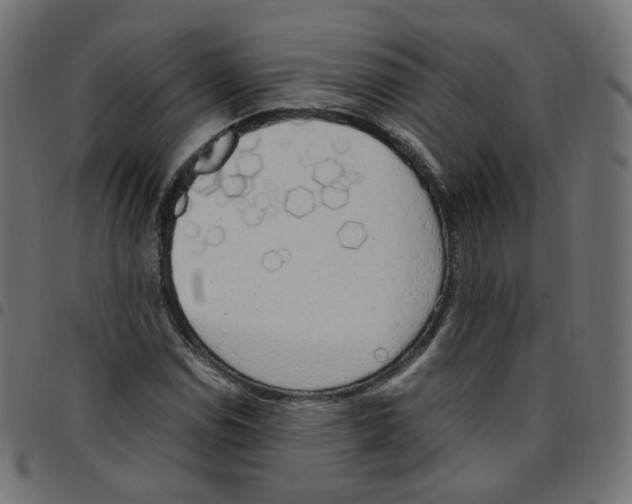 X0000096961114200803071044