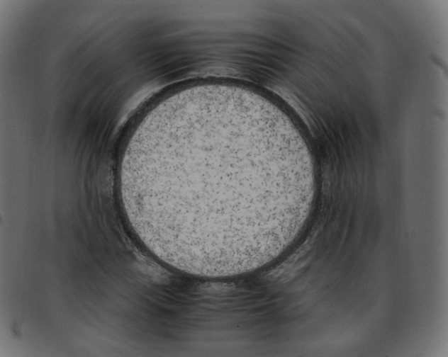 X0000096961115200803071045