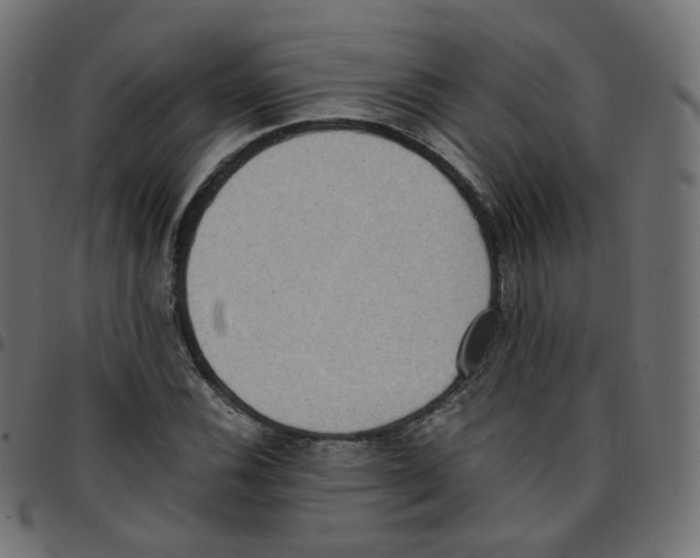 X0000096961116200803071045