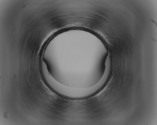 X0000096961118200803071045