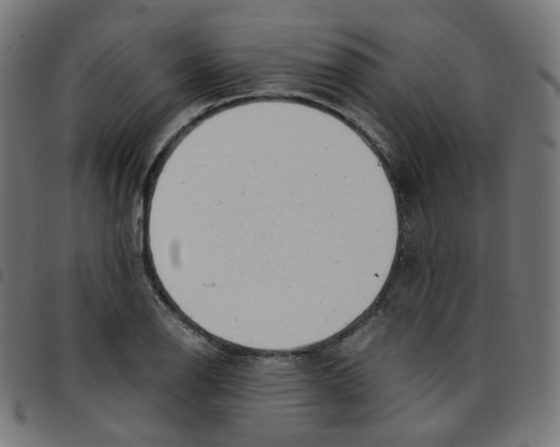 X0000096961126200803071045