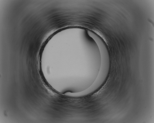 X0000096961127200803071045