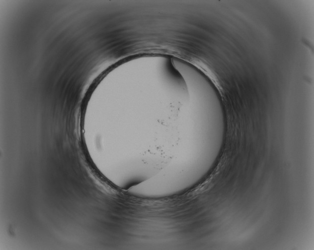 X0000096961128200803071045