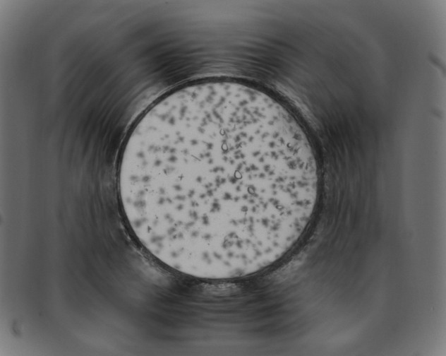 X0000096961129200803071045