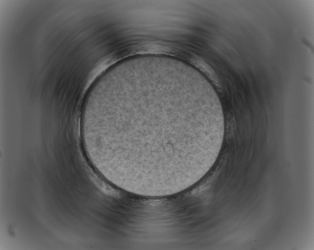 X0000096961130200803071045