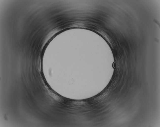 X0000096961131200803071045