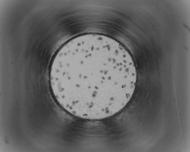 X0000096961133200803071045