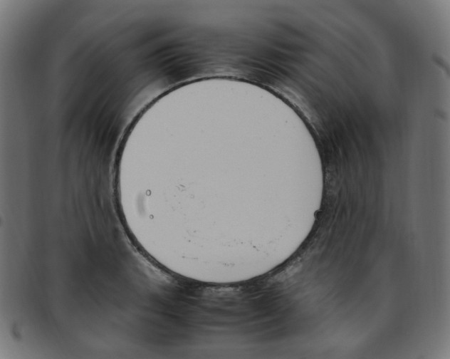 X0000096961135200803071045