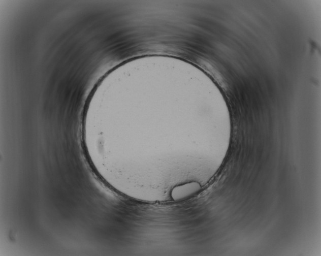 X0000096961136200803071045