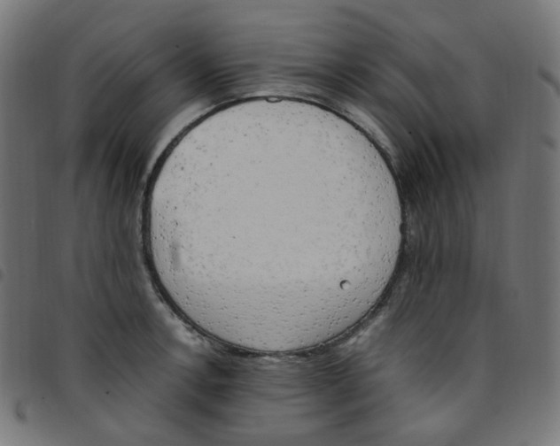 X0000096961138200803071045