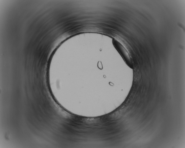 X0000096961139200803071045