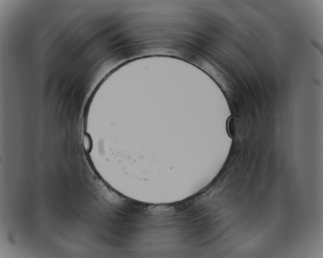 X0000096961140200803071045