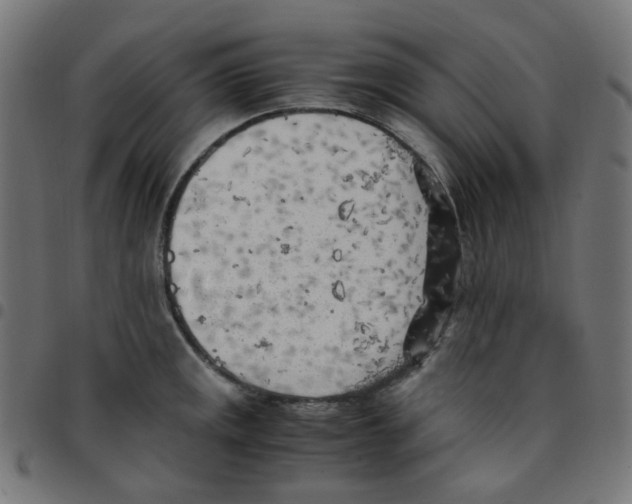 X0000096961141200803071045