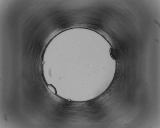 X0000096961143200803071045