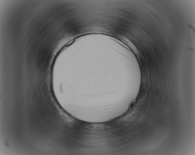 X0000096961144200803071045