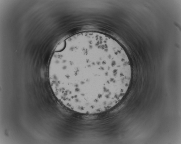 X0000096961145200803071045