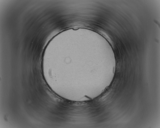 X0000096961146200803071045