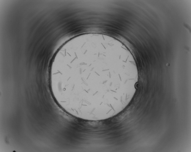 X0000096961147200803071045