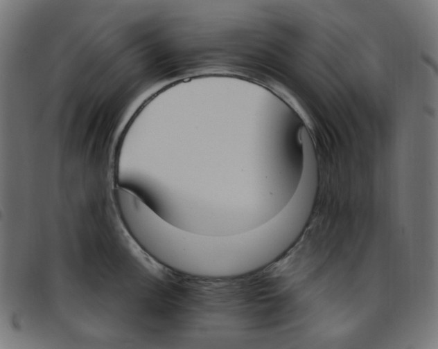 X0000096961148200803071045