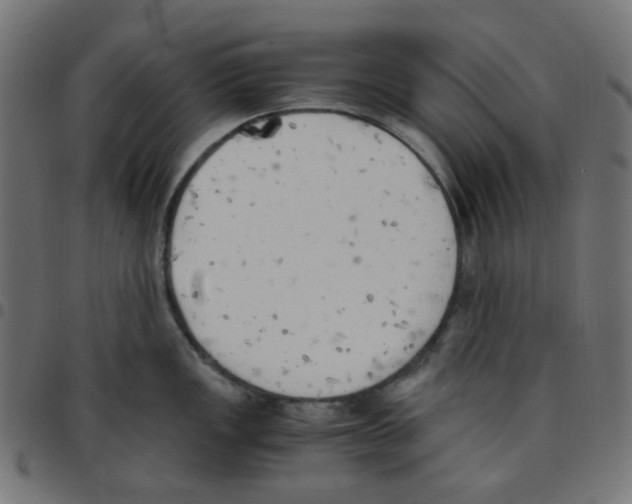 X0000096961149200803071045