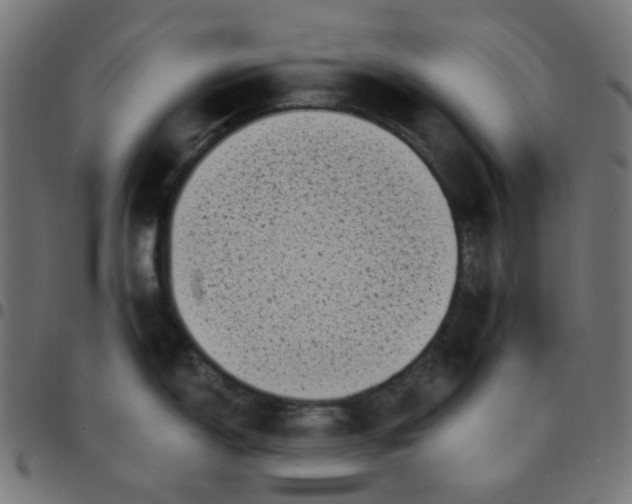 X0000096961150200803071045