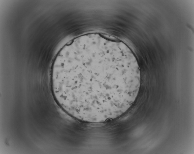 X0000096961151200803071045