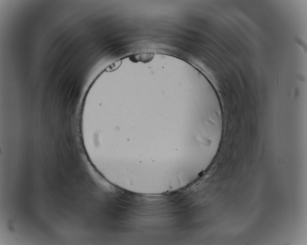 X0000096961152200803071045