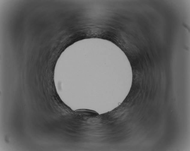 X0000096961153200803071044