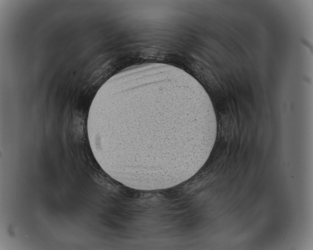 X0000096961154200803071044