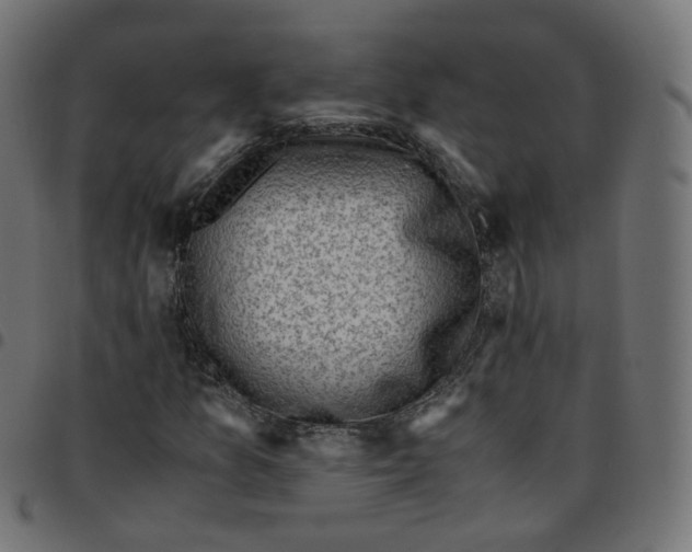 X0000096961157200803071044