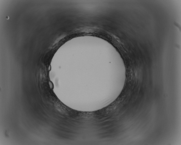 X0000096961158200803071044