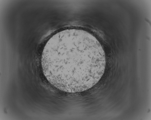 X0000096961159200803071044