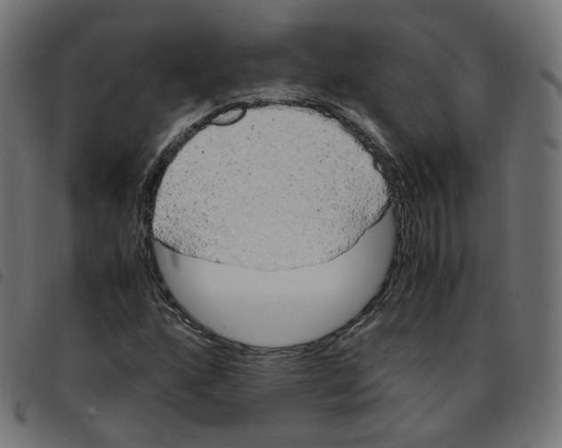 X0000096961160200803071044